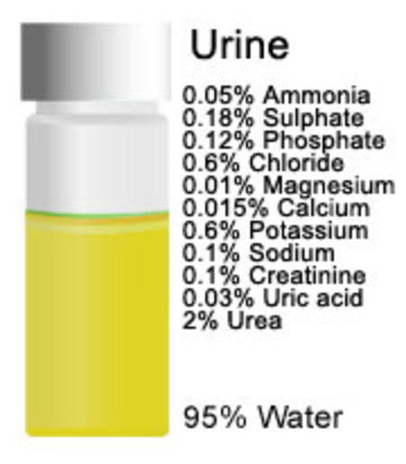 urine.jpg